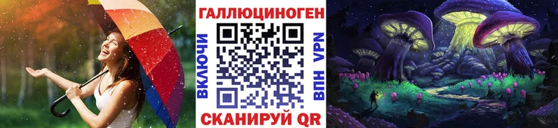 закладка  Тарко-Сале  Галлюциногенные грибы Cubensis 
